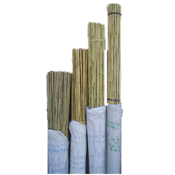 Bamboo Stake Natural 2' x 5/16